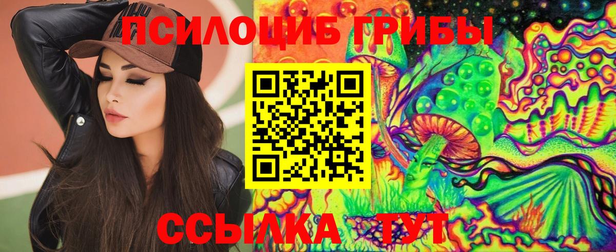 Галлюциногенные грибы Psilocybine cubensis  Вход с VPN  Галлюциногенные грибы прущие грибы  Скопин 