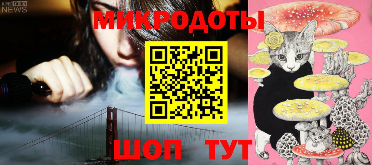 Псилоцибиновые грибы Psilocybe Скопин